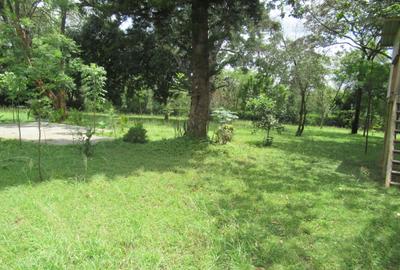 Residential Land at Koitobos Rd - 4