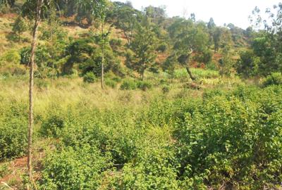 6.3 ac Land in Nyeri - 2