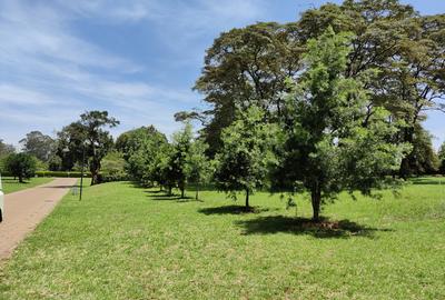 1 ac Land in Karen
