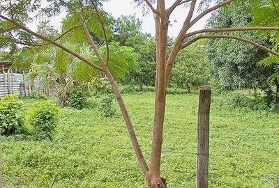 Land at Mtwapa - 3