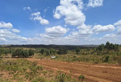 0.125 ac Residential Land at Lusigetti - 3