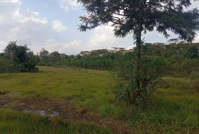 Land in Karen - 4