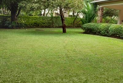 3 Bed House with En Suite at Windyridge - 2