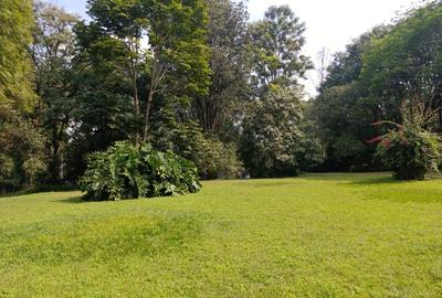 Land at Old Kitusuru Rd - 3