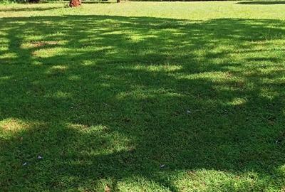 0.5 ac Residential Land at Kirawa Rd - 2
