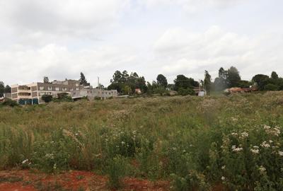 0.125 ac Commercial Land at Muchatha - 3