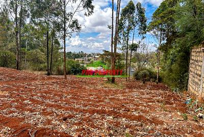 0.05 ha Residential Land in Gikambura - 4