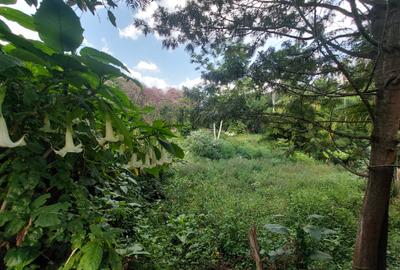 Residential Land at Runda Grove - 2
