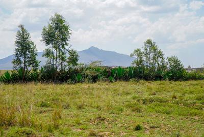 Residential Land in Naivasha - 4