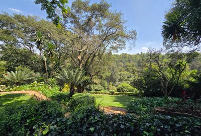 5 Bed House with En Suite in Gigiri - 4