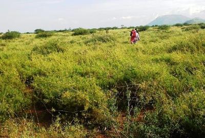 0.115 ac Land at Magadi Road