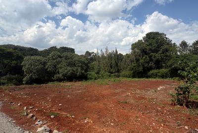 0.5 ha Land at Muthithi Garden