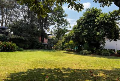 Land at Muchai Road