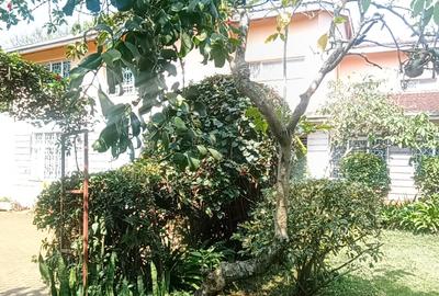4 Bed House in Gigiri - 4