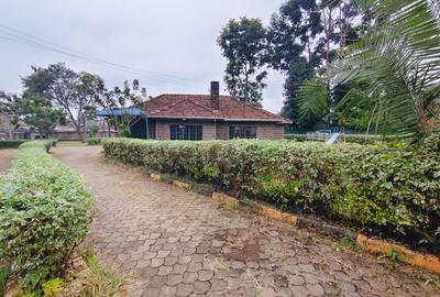 Commercial Property with Parking in Lavington - 2