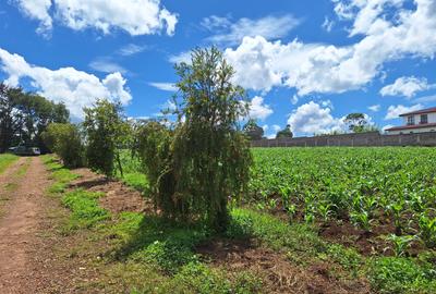 1 ac Residential Land at Tigoni - 2