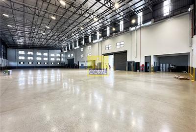 Warehouse in Tatu City - 2