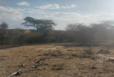 31 ac Land at Sekenani - 2