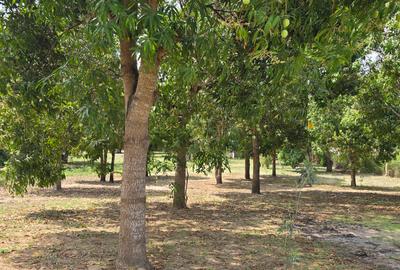 6 ac Land at Mtwapa