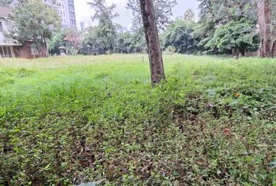 0.51 ac Land at General Mathenge Drive - 3