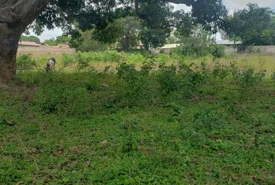 5 ac Land at Mavueni - 3