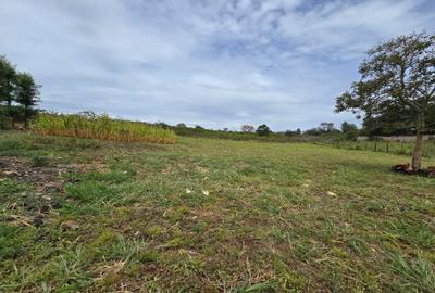 0.7 ac Residential Land in Runda