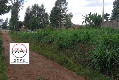 0.125 ac Land at Kasphat Estate - 4