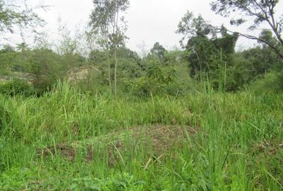 Residential Land at Ridgeways Ln - 2