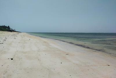 Land at Kikambala Beach - 4