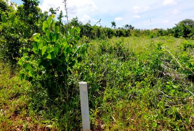 506 m² Land at Mavueni - Mariakani Bypass - 3