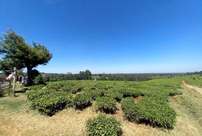 250 ac Residential Land at Kiambu - 2