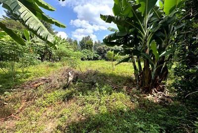 0.5 ac Land in Muthaiga - 3