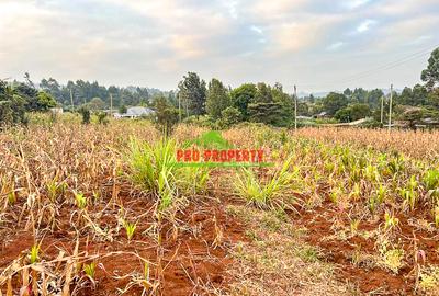 0.05 ha Residential Land in Kamangu