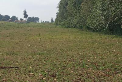 0.5 ac Residential Land in Tigoni - 2