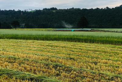 33 ac Land at Ol Kalou