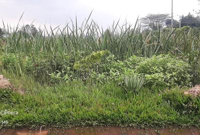 Land in Runda - 3