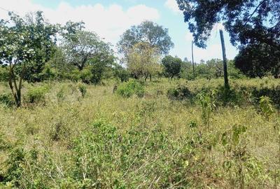 40 ac Residential Land in Kilifi - 2