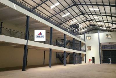 15,000 ft² Warehouse with Fibre Internet at Cabanas - 4