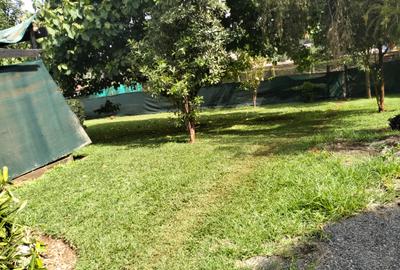Furnished 5,000 ft² Commercial Property with Backup Generator in Lavington - 4