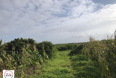 20 ac Land at Mida Creek Area