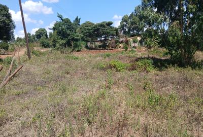 Commercial Land at Lusingetti