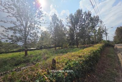 0.5 ac Residential Land in Ridgeways - 3