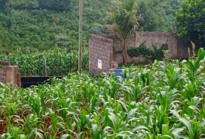 0.5 ac Land at Karuri Forest Edge