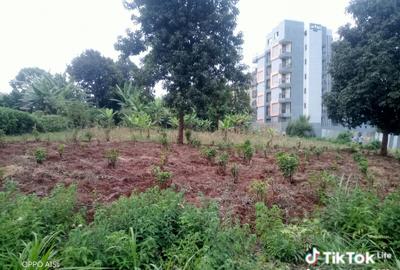 Commercial Land in Ruaka - 2