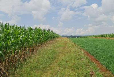 Land at Eldoret