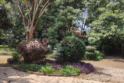 Land at Westlands