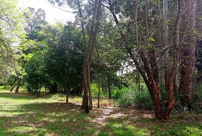 10 ac Land in Karen - 4