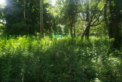 0.5 ac Land in Karen