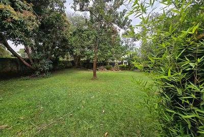 0.5 ac Land at Kirichwa Road