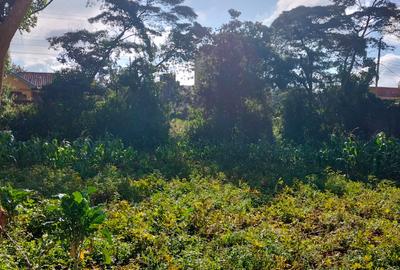 Commercial Land at Thogoto Area